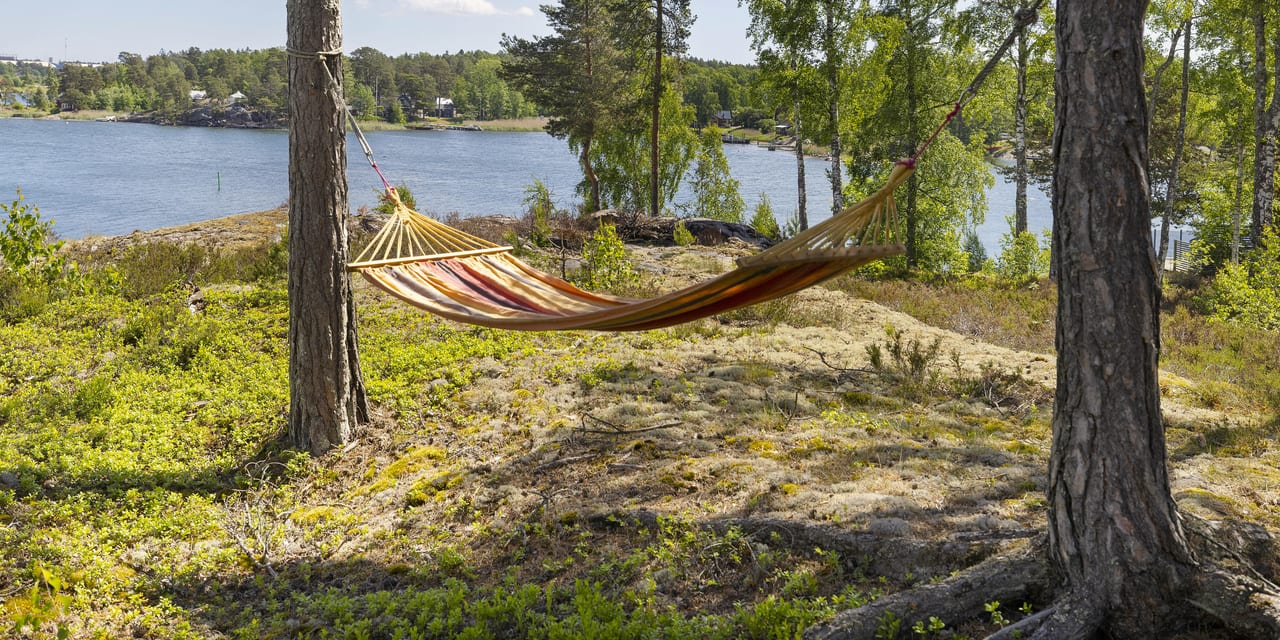 Hängmatta mellan två tallar på en mosshäll, med en vik bakom.