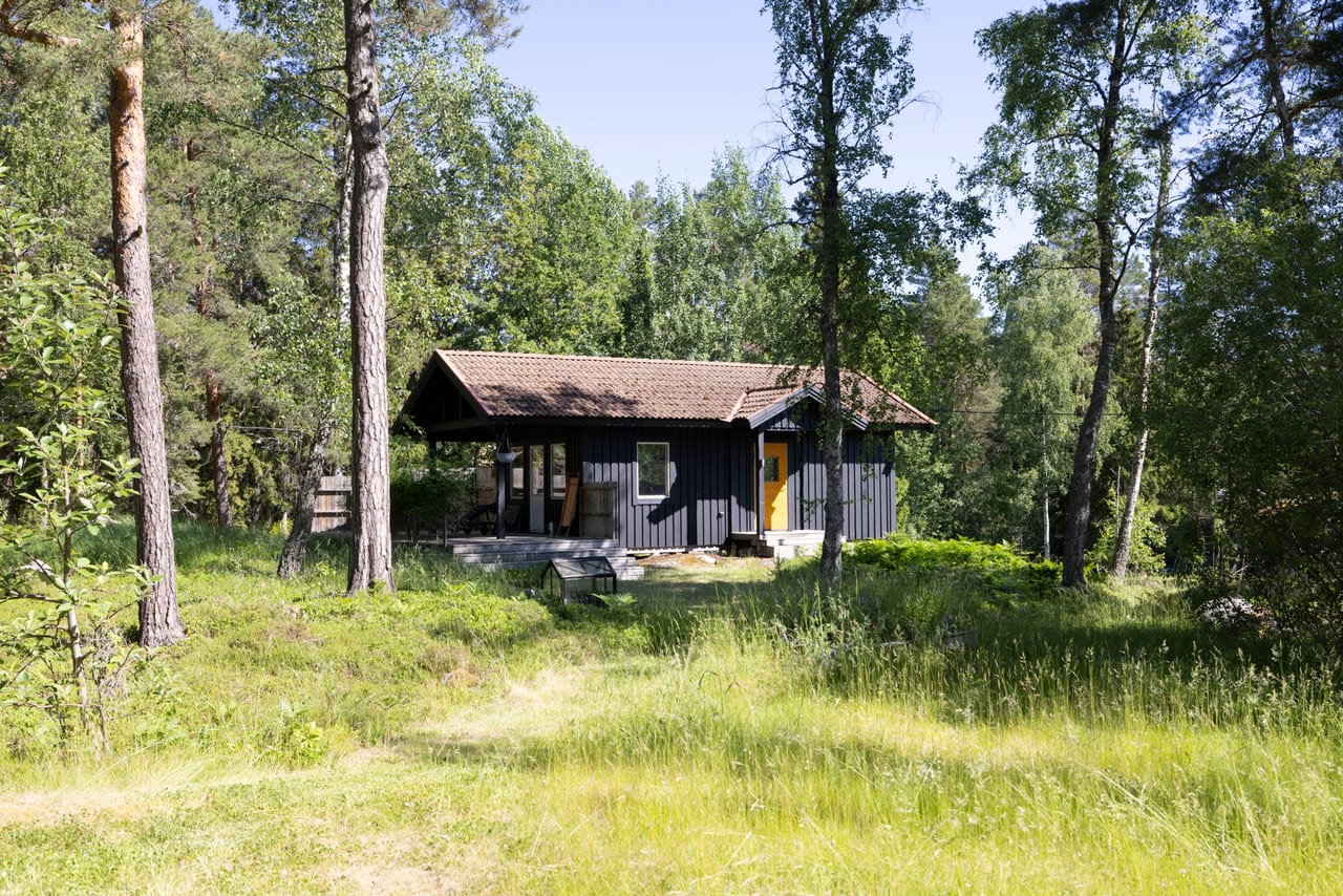 Mörkt trähus i en glänta, sett genom tallar och björkar.