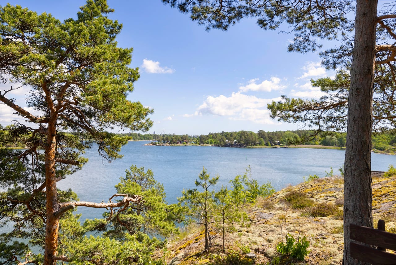 Utsikt mellan två tallar över en vik under molnhimmel.